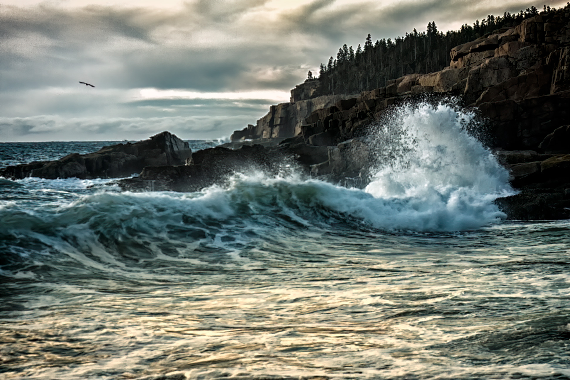 Ocean Wave