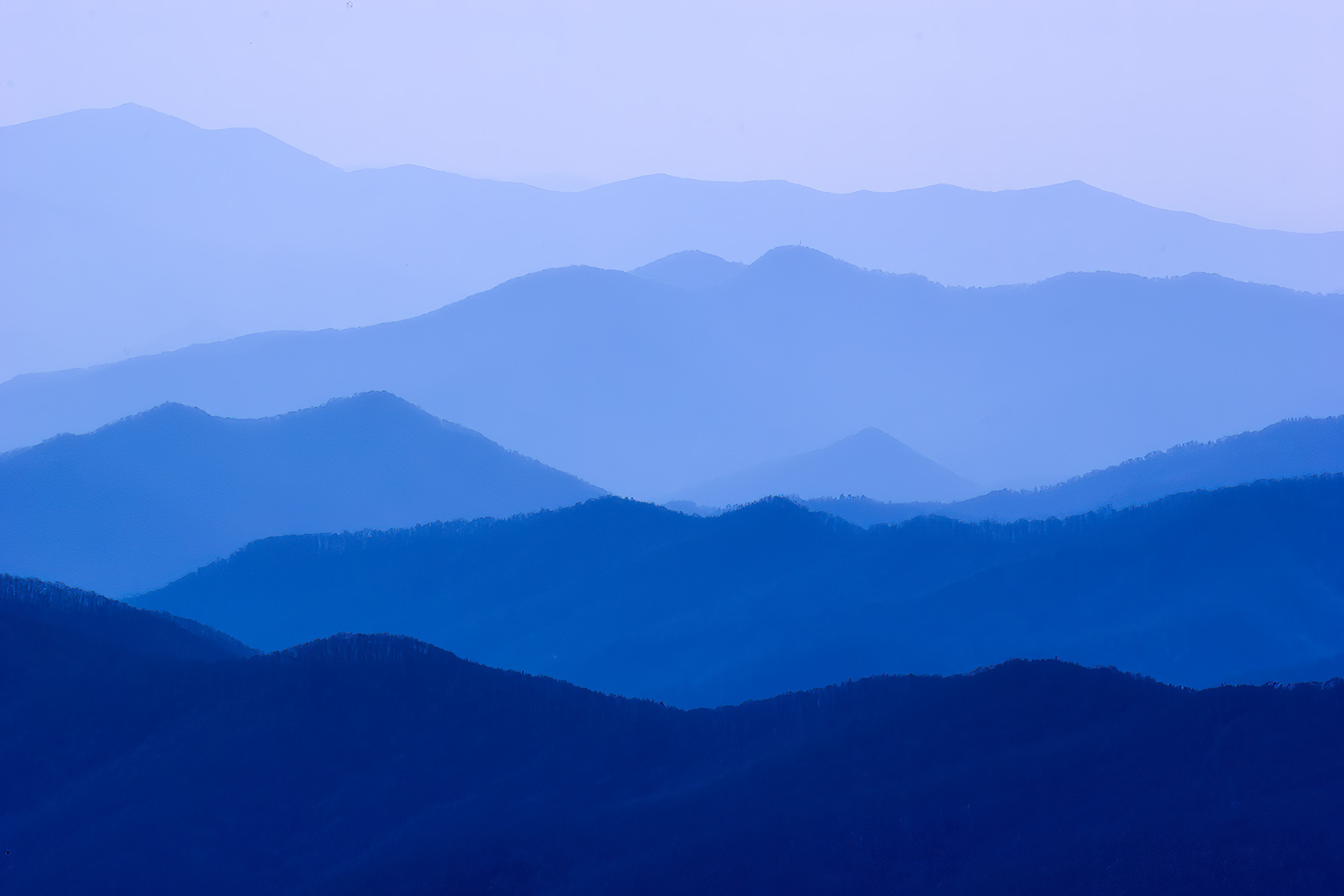 Iconic Smokies
