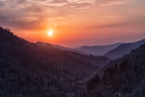Enchanted Evening